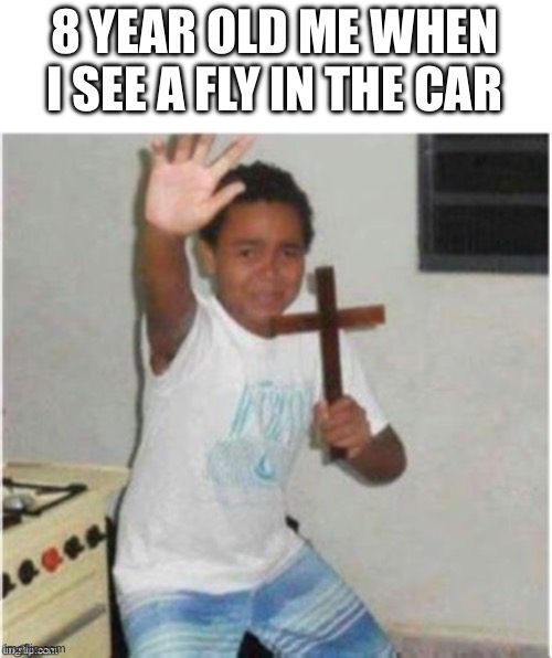 Satan begone | 8 YEAR OLD ME WHEN I SEE A FLY IN THE CAR | image tagged in begone satan | made w/ Imgflip meme maker