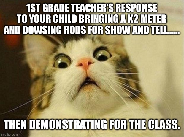 Teachers reaponse | 1ST GRADE TEACHER’S RESPONSE TO YOUR CHILD BRINGING A K2 METER AND DOWSING RODS FOR SHOW AND TELL……; THEN DEMONSTRATING FOR THE CLASS. | image tagged in memes,scared cat | made w/ Imgflip meme maker