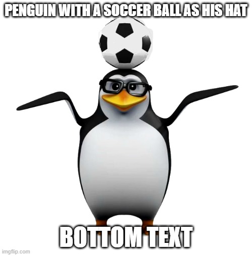 e | PENGUIN WITH A SOCCER BALL AS HIS HAT; BOTTOM TEXT | made w/ Imgflip meme maker