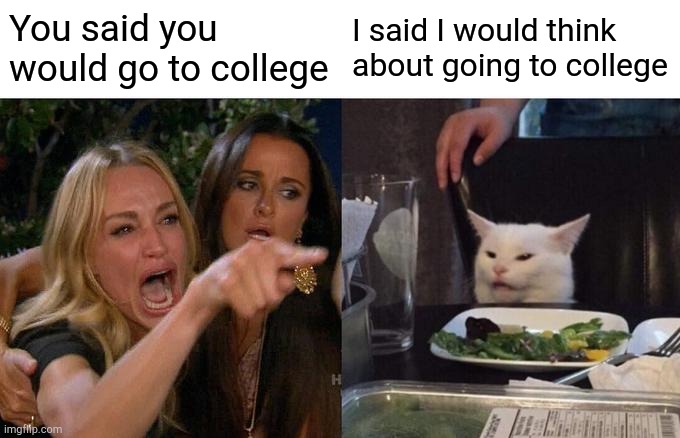 College | You said you would go to college; I said I would think about going to college | image tagged in memes,woman yelling at cat,funny | made w/ Imgflip meme maker