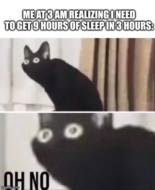 Oh no cat | ME AT 3 AM REALIZING I NEED TO GET 9 HOURS OF SLEEP IN 3 HOURS: | image tagged in oh no cat | made w/ Imgflip meme maker