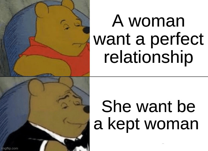 kept woman | A woman want a perfect relationship; She want be a kept woman | image tagged in memes,tuxedo winnie the pooh | made w/ Imgflip meme maker