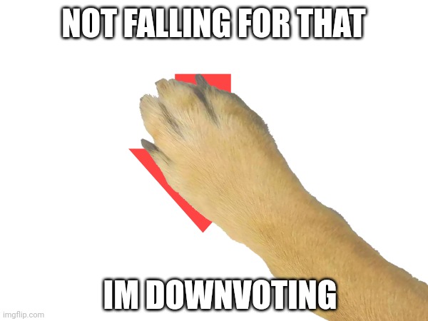 NOT FALLING FOR THAT IM DOWNVOTING | made w/ Imgflip meme maker
