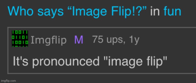 It’s pronounced image flip | image tagged in it s pronounced image flip | made w/ Imgflip meme maker