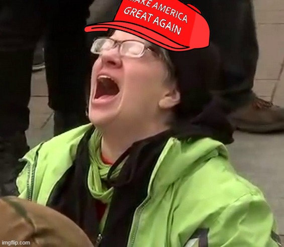 Trump supporters be like.You gotta love karma. | image tagged in trump | made w/ Imgflip meme maker