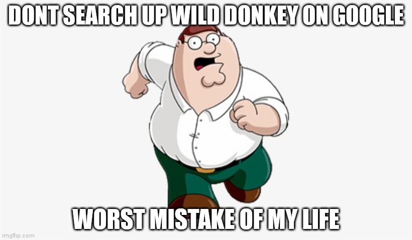 Don't Go to X, Worst Mistake of My Life | DONT SEARCH UP WILD DONKEY ON GOOGLE; WORST MISTAKE OF MY LIFE | image tagged in donkey,donkey from shrek | made w/ Imgflip meme maker