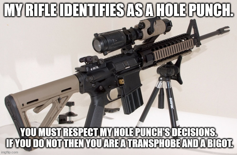 Saying there are only two kinds of rifles, assault and hunting just ...