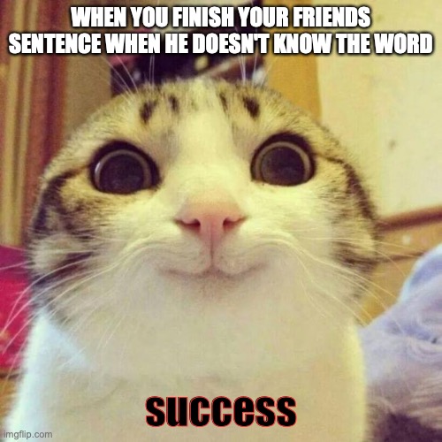 Relatable? | WHEN YOU FINISH YOUR FRIENDS SENTENCE WHEN HE DOESN'T KNOW THE WORD; success | image tagged in memes,smiling cat,relatable,failure | made w/ Imgflip meme maker