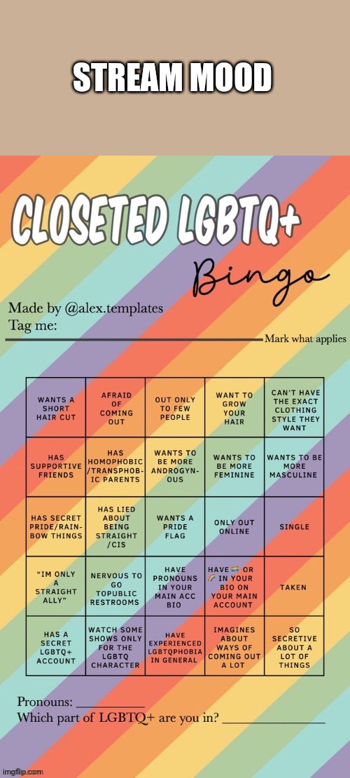 Closeted LGBTQ+ Bingo | STREAM MOOD | image tagged in closeted lgbtq bingo | made w/ Imgflip meme maker