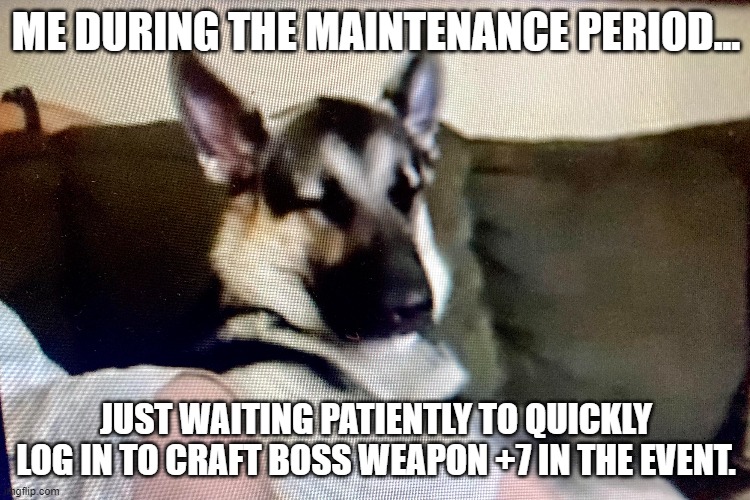 ME DURING THE MAINTENANCE PERIOD... JUST WAITING PATIENTLY TO QUICKLY LOG IN TO CRAFT BOSS WEAPON +7 IN THE EVENT. | made w/ Imgflip meme maker