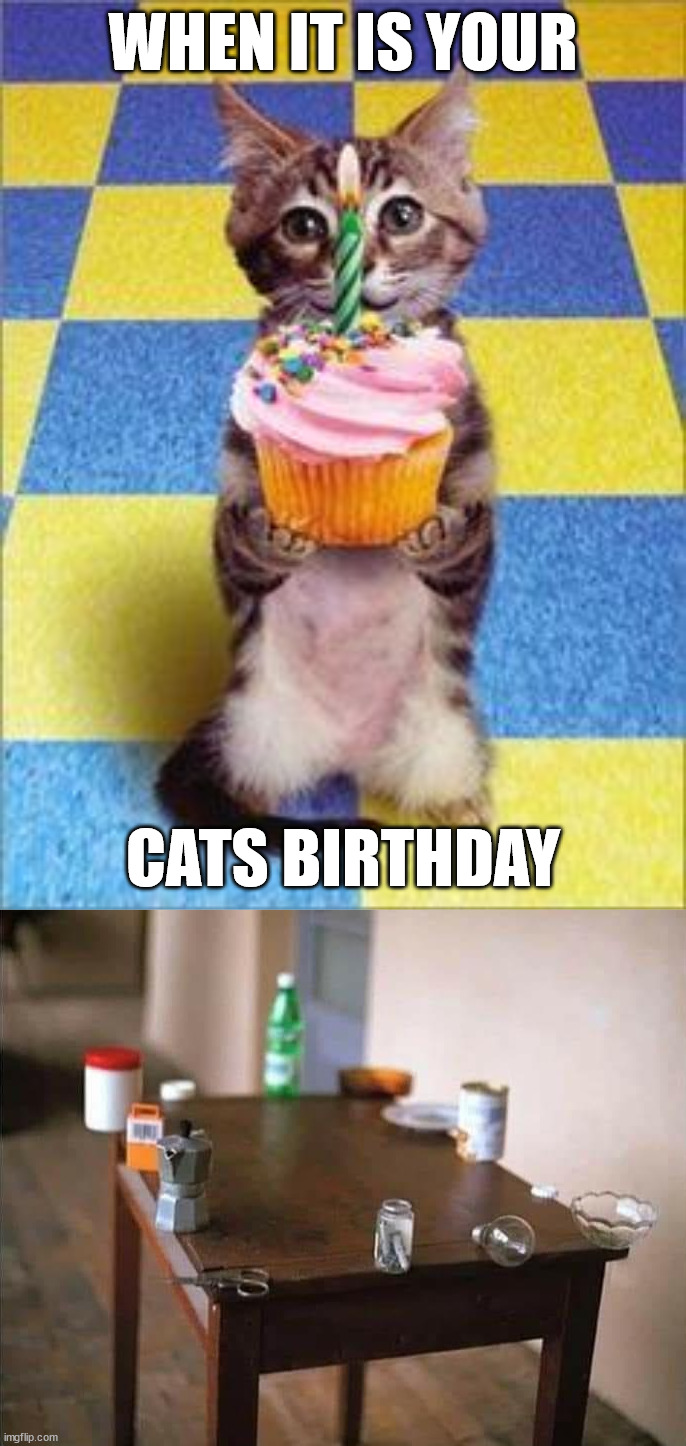 WHEN IT IS YOUR; CATS BIRTHDAY | image tagged in happy birthday cat,cats | made w/ Imgflip meme maker