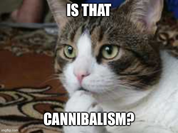 Ponder cat | IS THAT CANNIBALISM? | image tagged in ponder cat | made w/ Imgflip meme maker