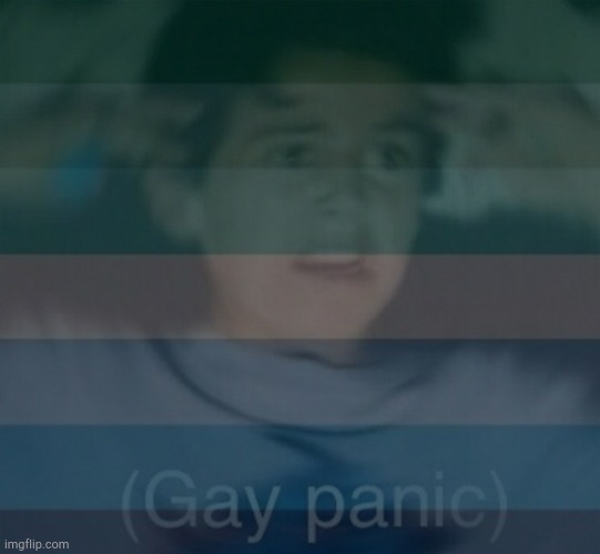 Gay panik | image tagged in gay panik | made w/ Imgflip meme maker