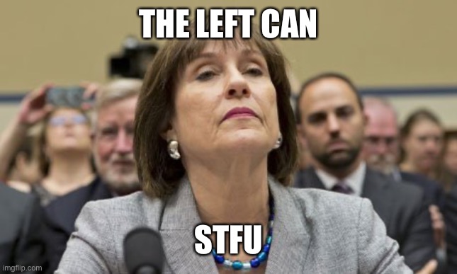 Lois Lerner IRS | THE LEFT CAN STFU | image tagged in lois lerner irs | made w/ Imgflip meme maker