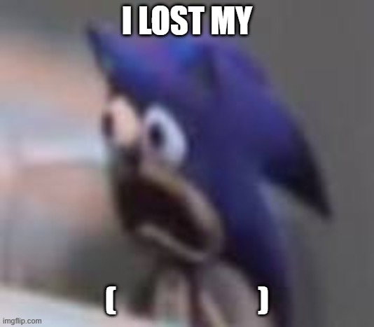 I LOST MY; (                       ) | made w/ Imgflip meme maker