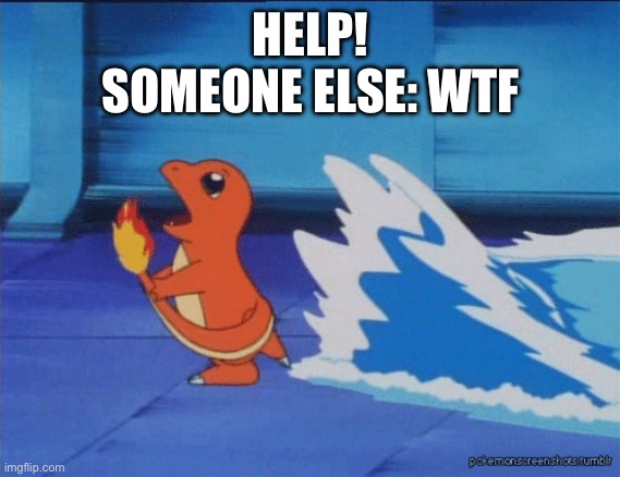 Wtf | HELP!
SOMEONE ELSE: WTF | image tagged in charmander running from water | made w/ Imgflip meme maker