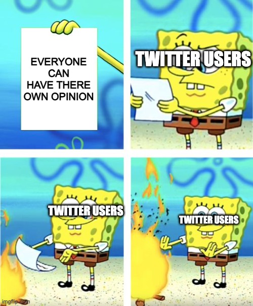 Twitter Users in a nutshell | EVERYONE CAN HAVE THERE OWN OPINION; TWITTER USERS; TWITTER USERS; TWITTER USERS | image tagged in spongebob burning paper | made w/ Imgflip meme maker