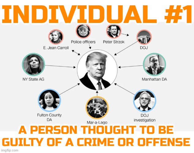 INDIVIDUAL #1 | INDIVIDUAL #1; A PERSON THOUGHT TO BE GUILTY OF A CRIME OR OFFENSE | image tagged in suspect,criminal,investigation,accused,defendant,crook | made w/ Imgflip meme maker