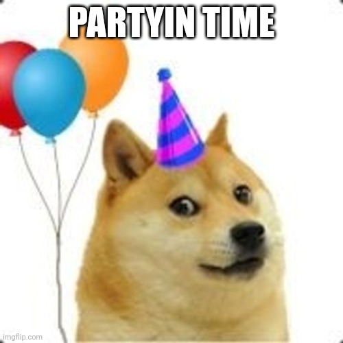 Party Doge | PARTYIN TIME | image tagged in party doge | made w/ Imgflip meme maker