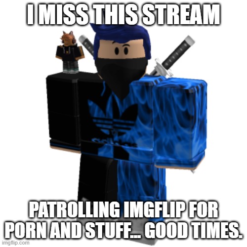 Zero Frost | I MISS THIS STREAM; PATROLLING IMGFLIP FOR PORN AND STUFF... GOOD TIMES. | image tagged in zero frost | made w/ Imgflip meme maker