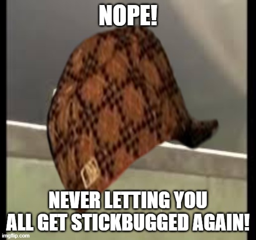 good ending :D | NOPE! NEVER LETTING YOU ALL GET STICKBUGGED AGAIN! | image tagged in lol so funny | made w/ Imgflip meme maker