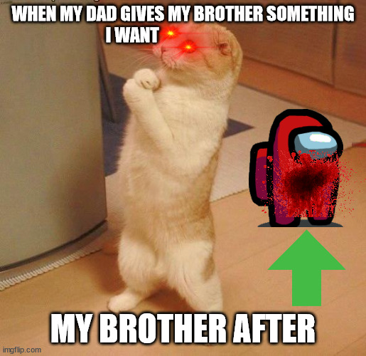 asking cat | WHEN MY DAD GIVES MY BROTHER SOMETHING I WANT; MY BROTHER AFTER | image tagged in asking cat | made w/ Imgflip meme maker