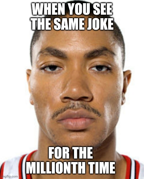 Derrick Rose Straight Face | WHEN YOU SEE THE SAME JOKE; FOR THE MILLIONTH TIME | image tagged in derrick rose straight face | made w/ Imgflip meme maker