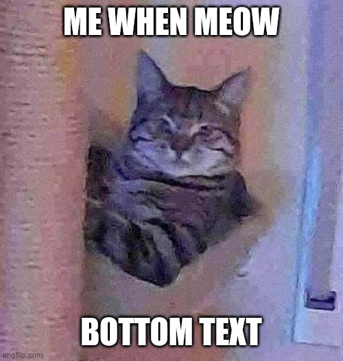 Meow cat haha | ME WHEN MEOW; BOTTOM TEXT | image tagged in cat | made w/ Imgflip meme maker