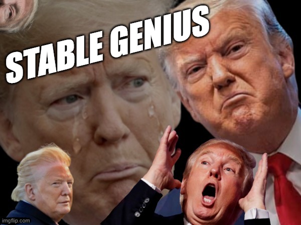bwahahahahaha...! | STABLE GENIUS | image tagged in trump collage d-_-b template,stable genius,detestable donald | made w/ Imgflip meme maker