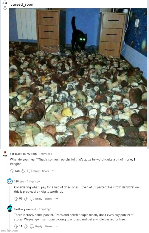 Cursed room | image tagged in mushrooms,cursed image,cursed,reddit | made w/ Imgflip meme maker