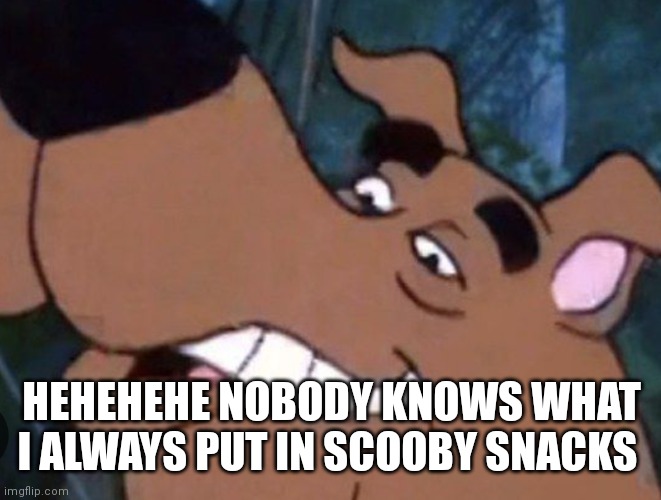Scooby always puts drugs in his snacks | HEHEHEHE NOBODY KNOWS WHAT I ALWAYS PUT IN SCOOBY SNACKS | image tagged in funny memes,scooby doo | made w/ Imgflip meme maker