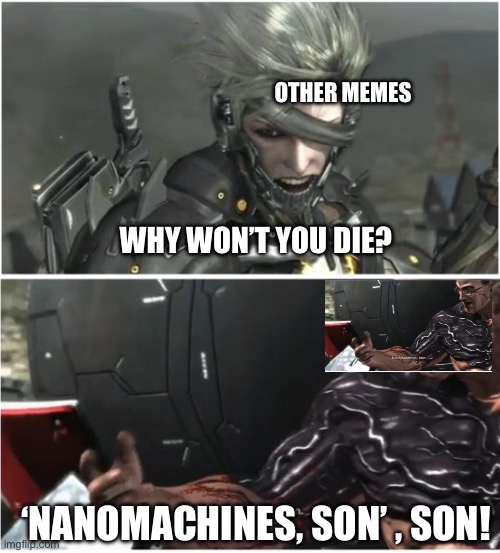 What did I just say? | OTHER MEMES; WHY WON’T YOU DIE? ‘NANOMACHINES, SON’ , SON! | image tagged in why won't you die | made w/ Imgflip meme maker