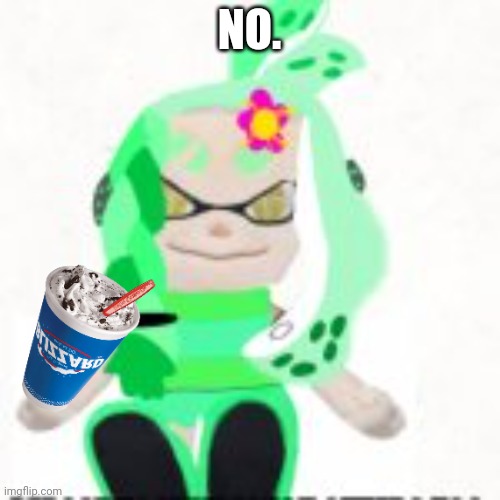 Low quality image of a mint houzuki plush | NO. | image tagged in low quality image of a mint houzuki plush | made w/ Imgflip meme maker