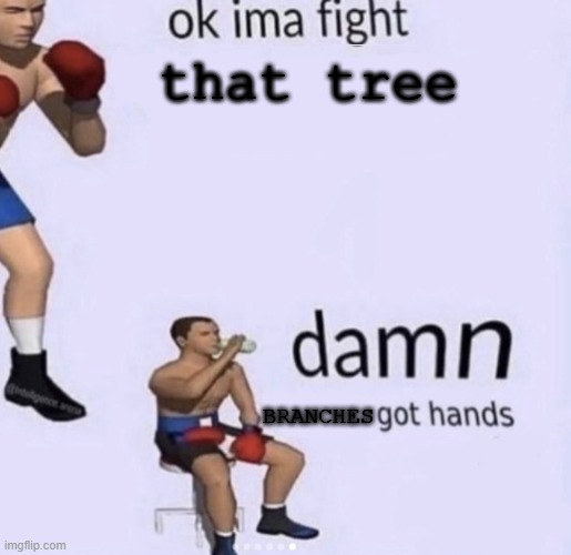 b r a n c h e s | that tree; BRANCHES | image tagged in damn got hands | made w/ Imgflip meme maker