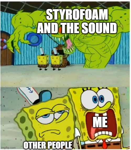 My Worst Nightmare | STYROFOAM AND THE SOUND; ME; OTHER PEOPLE | image tagged in spongebob squarepants scared but also not scared,styrofoam,memes,sound,patrick | made w/ Imgflip meme maker