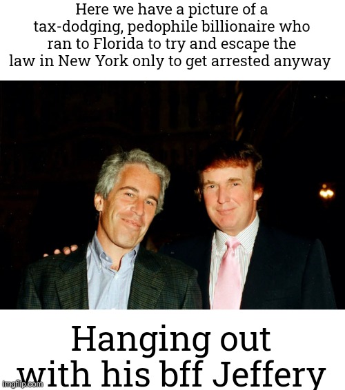 Lets hope their story ends the same too | Here we have a picture of a tax-dodging, pedophile billionaire who ran to Florida to try and escape the law in New York only to get arrested anyway; Hanging out with his bff Jeffery | image tagged in best friends,scumbag republicans,white trash,pedophiles | made w/ Imgflip meme maker