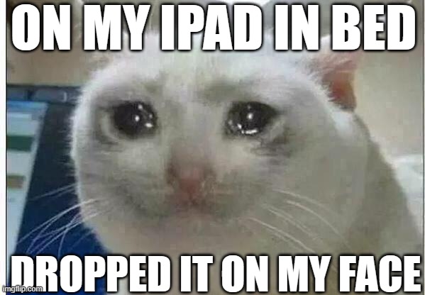 >:( | ON MY IPAD IN BED; DROPPED IT ON MY FACE | image tagged in crying cat | made w/ Imgflip meme maker
