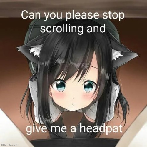 Stop scrolling and give me a headpat | image tagged in stop scrolling and give me a headpat | made w/ Imgflip meme maker