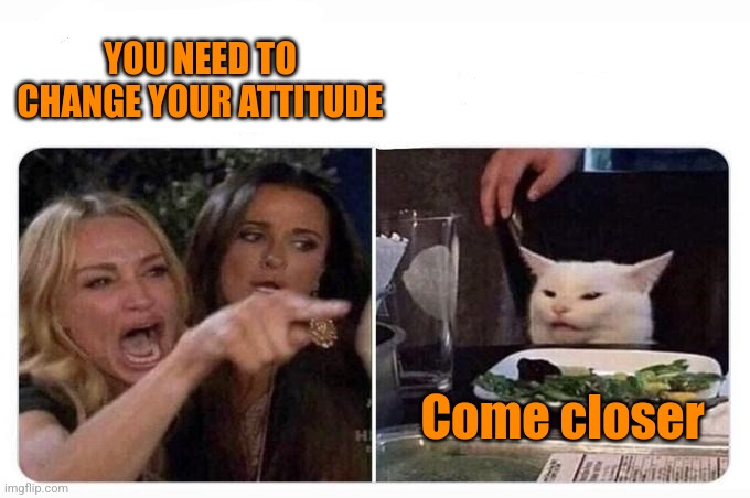 When the toxoplasmosis starts wearing off | YOU NEED TO CHANGE YOUR ATTITUDE; Come closer | image tagged in woman shouting at cat,toxoplasmosis,gardii,no more cat bites,no more cat poop | made w/ Imgflip meme maker