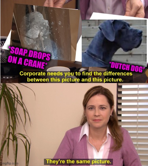 -Awesome bathroom. | *SOAP DROPS ON A CRANE*; *DUTCH DOG* | image tagged in memes,they're the same picture,funny dogs,don't drop the soap,bathroom humor,totally looks like | made w/ Imgflip meme maker