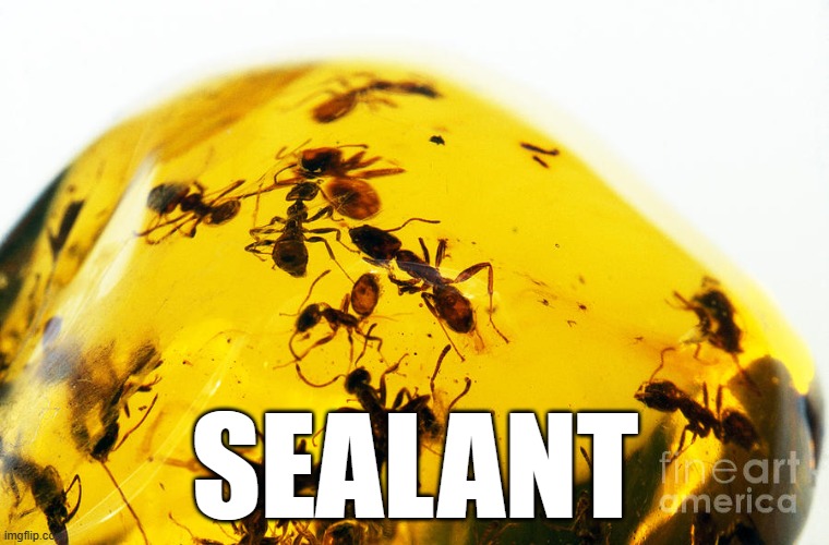 Honey, where are my aaaants? | SEALANT | image tagged in fun,weird,honey where are my ants | made w/ Imgflip meme maker