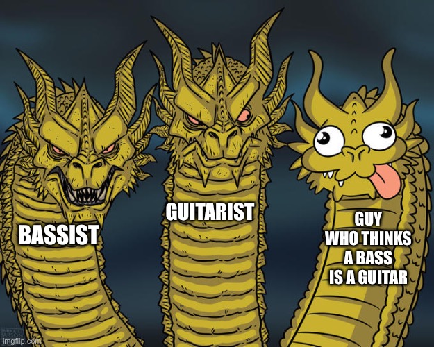 Three-headed Dragon | BASSIST GUITARIST GUY WHO THINKS A BASS IS A GUITAR | image tagged in three-headed dragon | made w/ Imgflip meme maker