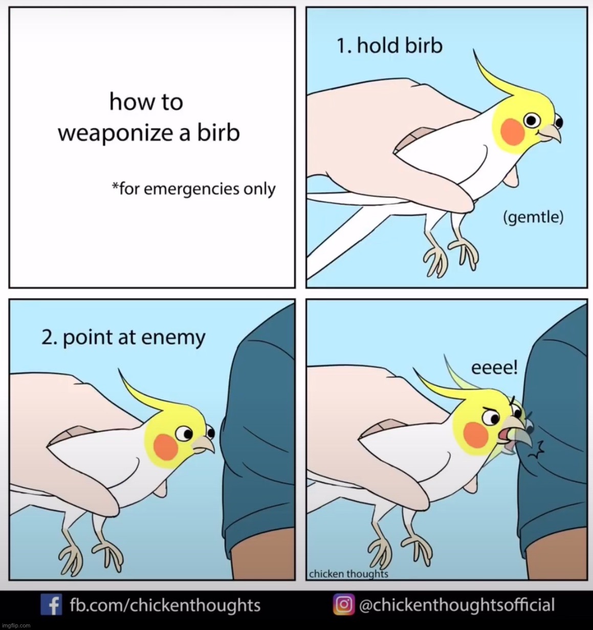 Birb comic: how to weaponize a birb | image tagged in birb,comics | made w/ Imgflip meme maker