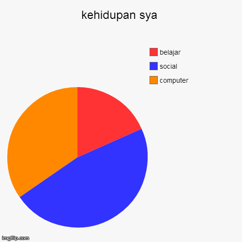 kehidupan sya | computer, social, belajar | image tagged in funny,pie charts | made w/ Imgflip chart maker