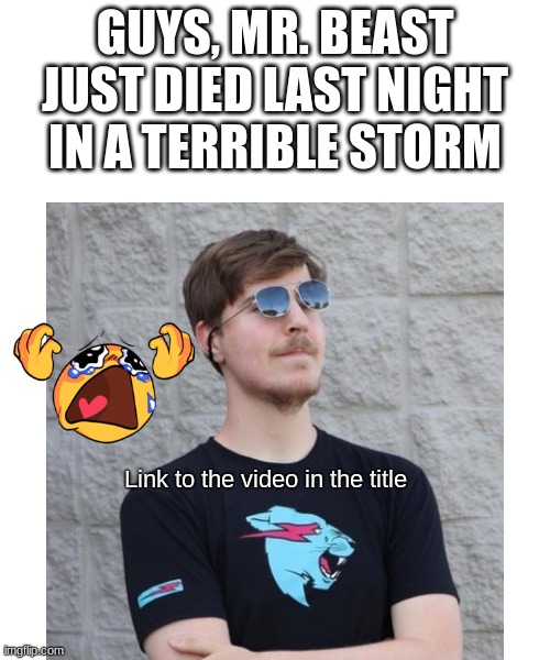https://www.youtube.com/watch?v=dQw4w9WgXcQ | GUYS, MR. BEAST JUST DIED LAST NIGHT IN A TERRIBLE STORM; Link to the video in the title | image tagged in so sad,crying | made w/ Imgflip meme maker