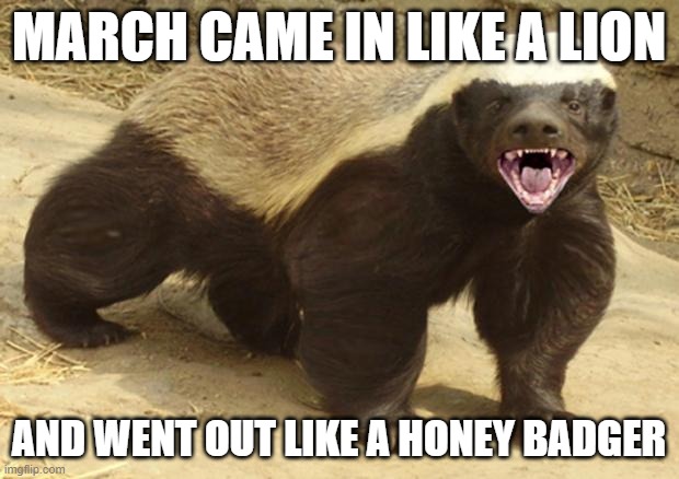 Honey badger | MARCH CAME IN LIKE A LION; AND WENT OUT LIKE A HONEY BADGER | image tagged in honey badger | made w/ Imgflip meme maker