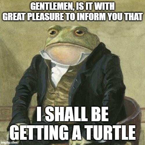 turtle | GENTLEMEN, IS IT WITH GREAT PLEASURE TO INFORM YOU THAT; I SHALL BE GETTING A TURTLE | image tagged in gentlemen it is with great pleasure to inform you that | made w/ Imgflip meme maker