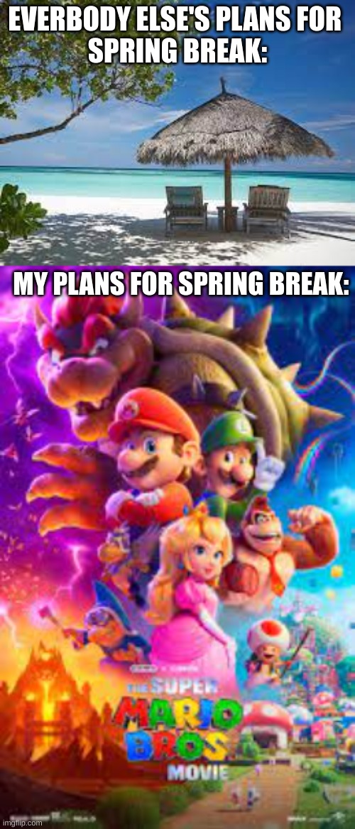 oh yea | EVERBODY ELSE'S PLANS FOR 
SPRING BREAK:; MY PLANS FOR SPRING BREAK: | image tagged in mario,nintendo,spring,spring break | made w/ Imgflip meme maker