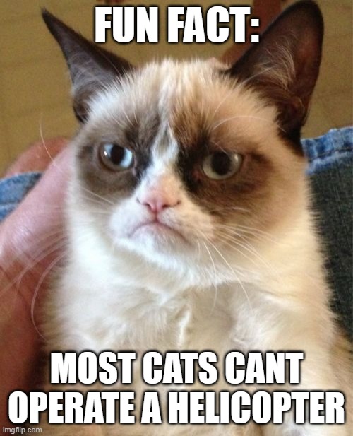 I mean... It's certainly true :/ | FUN FACT:; MOST CATS CANT OPERATE A HELICOPTER | image tagged in memes,grumpy cat | made w/ Imgflip meme maker