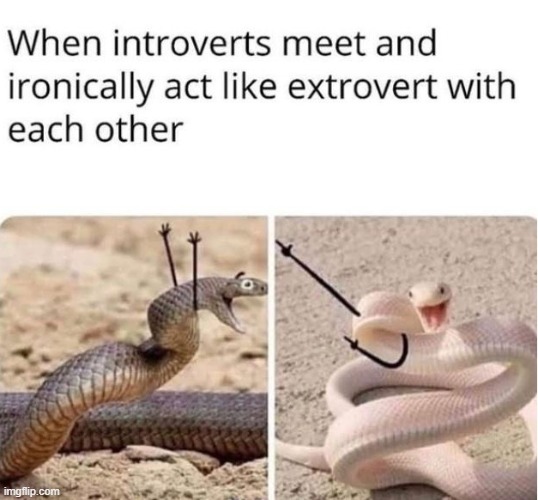 Me and my buddy with a meme | image tagged in wholesome,memes,funny | made w/ Imgflip meme maker